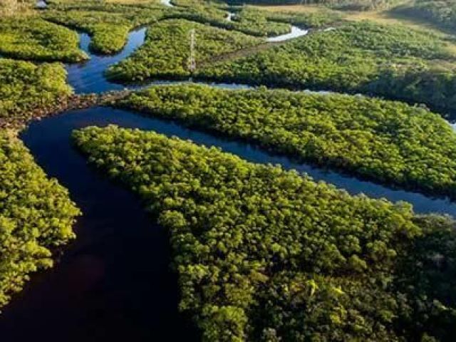 No fundo do Rio Amazonas, por isso a terra é sempre umida.