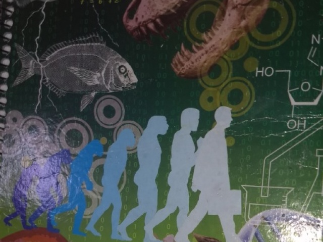 Caderno de dês materias
Um caderno simples mais bonito