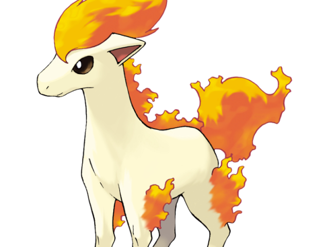 ponyta