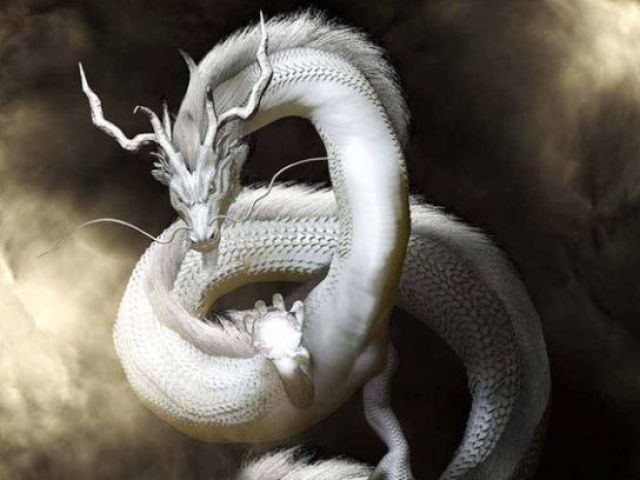 Dragão