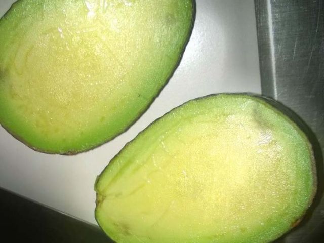 Abacate sem caroço!