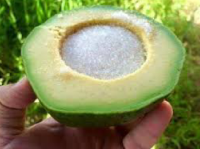 Abacate com açúcar!