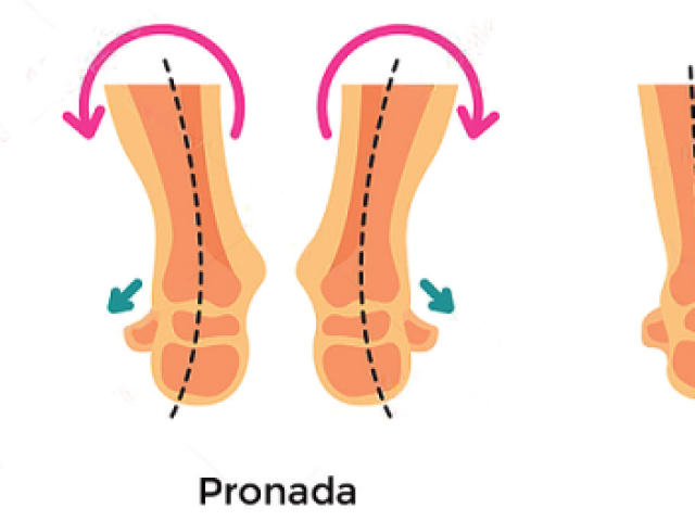 Pronada