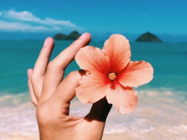 "Não existe amor verdadeiro, sempre somos quebrados e nos erguermos novamente. A cada dia florescemos mais belas."