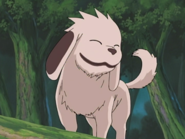 Kiba e Akamaru