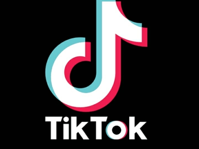 Ser Famosa no Tiktok