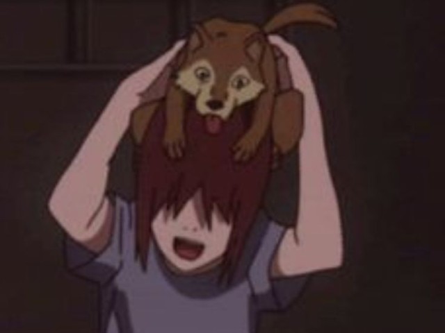 Cachorrinho do Nagato... (Shippuden)