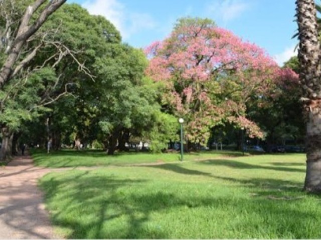 Parque da cidade