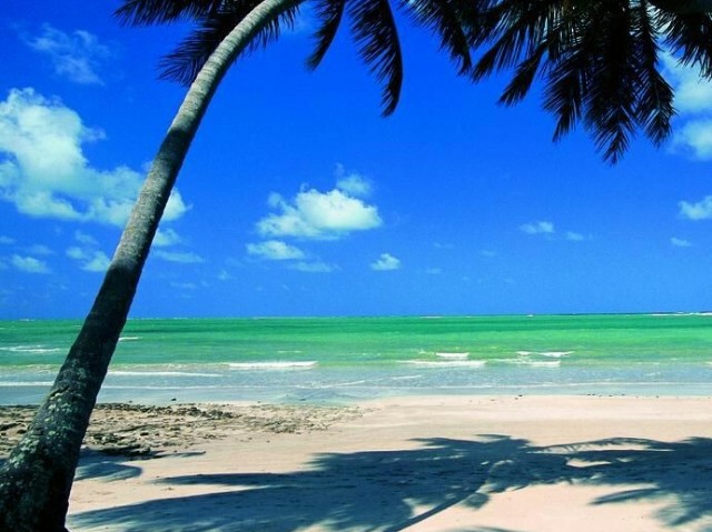 Praia parece ser um lugar romantico