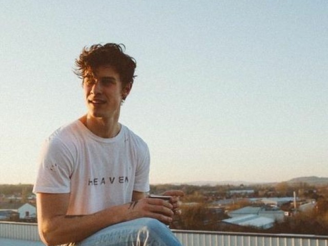 Parabéns, você realmente conhece o Shawn Mendes!