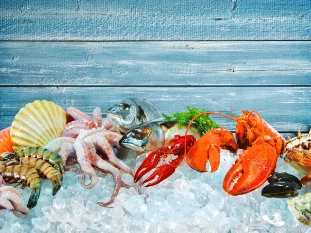frutos do mar