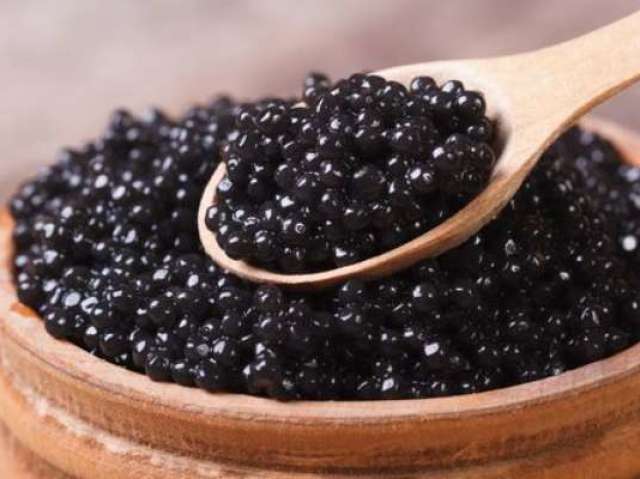 Caviar