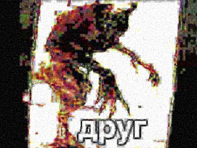 друг