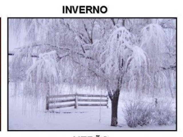 inverno