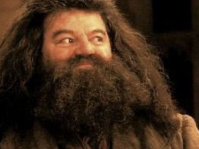 Hagrid