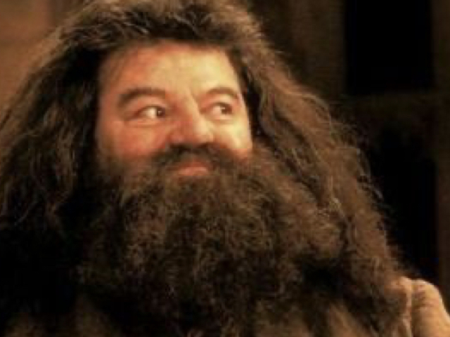 Hagrid