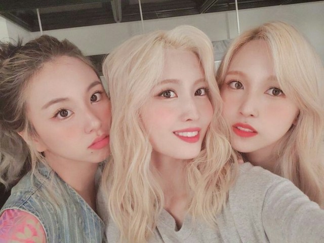 Chaeyong Dahyun Momo e Mina