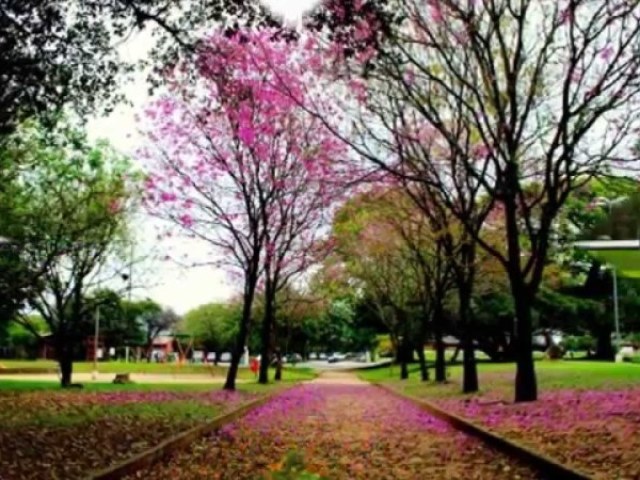 Tropical Úmido e Semiárido! 🌺