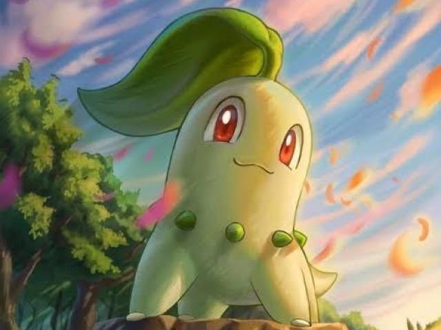 Chikorita