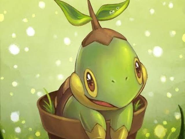 Turtwig