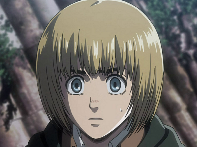 Armin Arlet