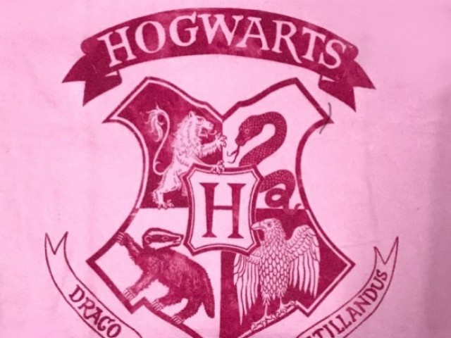 Conhece mesmo Harry Potter?