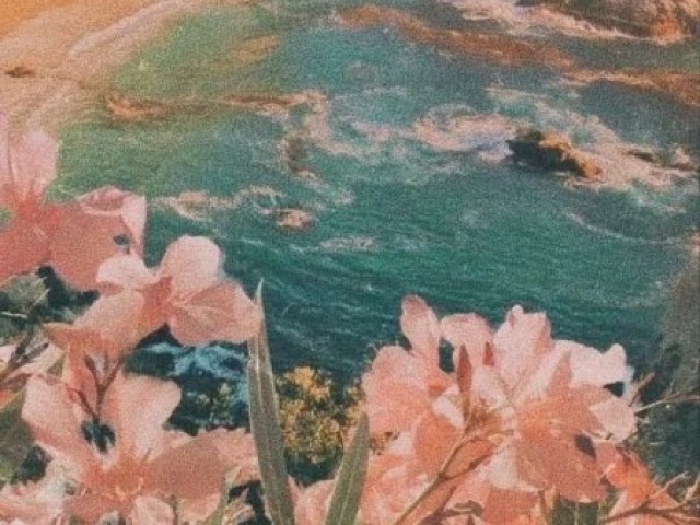 Essa๐ธ