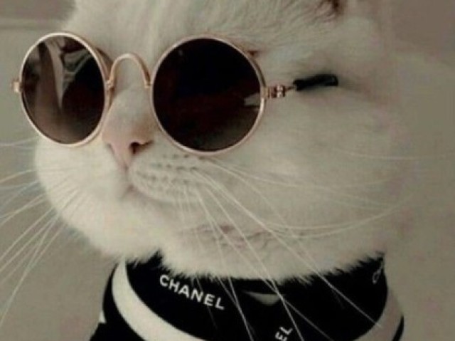 Essa ๐บ