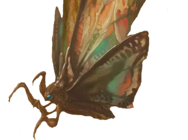 Mothra