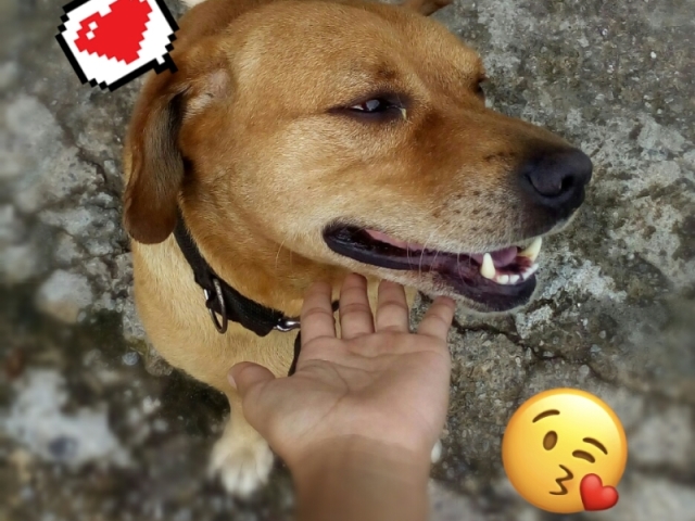 Nenhuma das anteriores βοΈβ₯οΈ