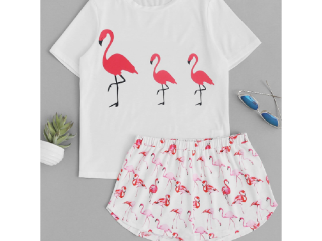 Flamingo