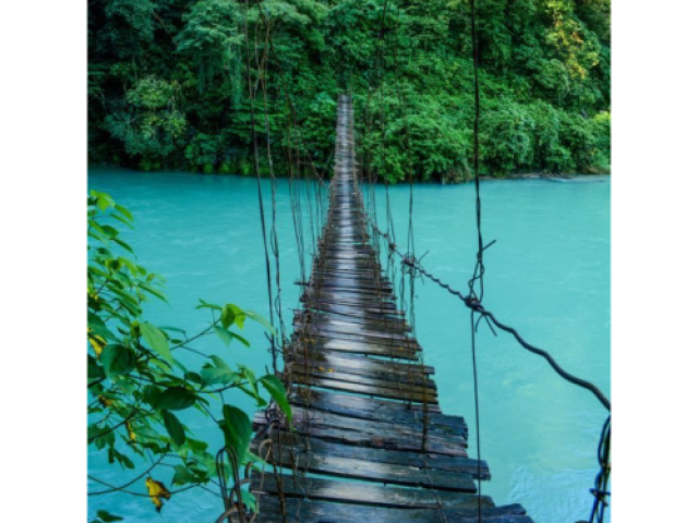 Uma ponte em meio a um rio