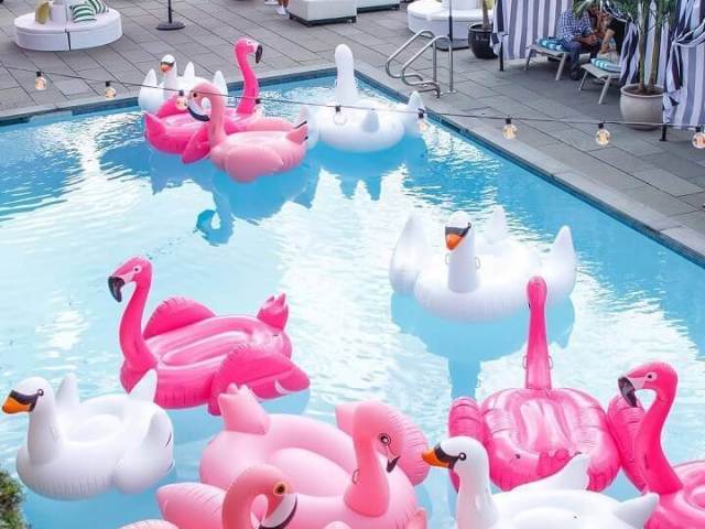 Festa na piscina