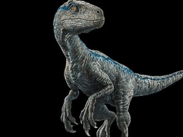 Velociraptor (BLUE)