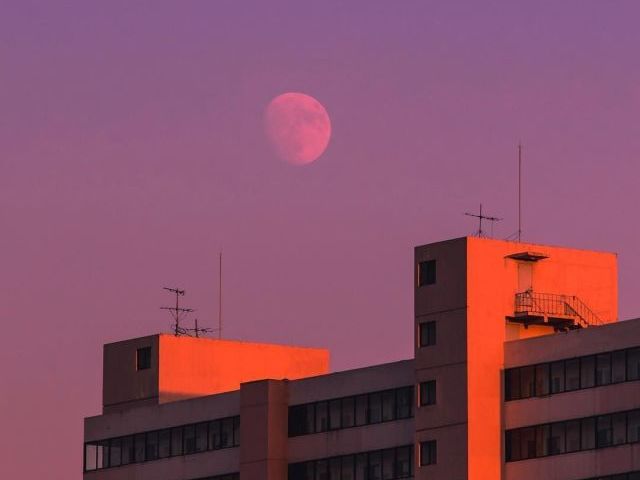 Você fica tão ansioso(a), e pede sua mãe pra decidir :<