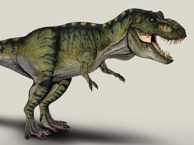 Morreu pisoteado pelo T.rex.