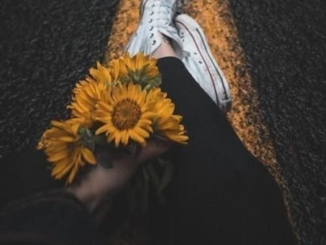 🌻