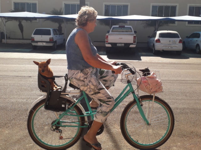 Andar de bicicleta de dia com um cachorro