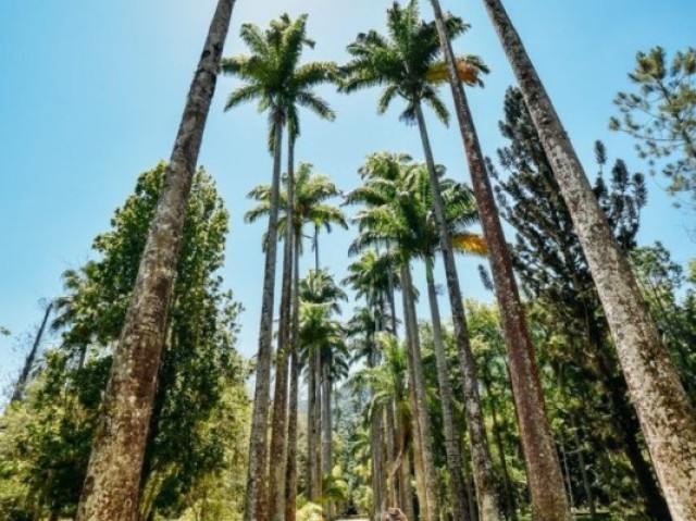 Num parque ensolarado