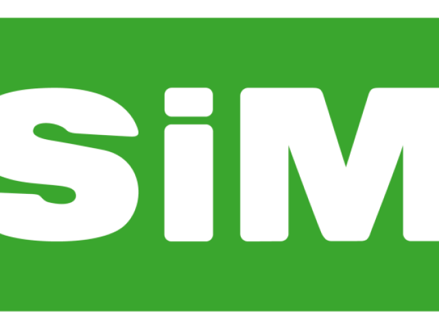 Simm