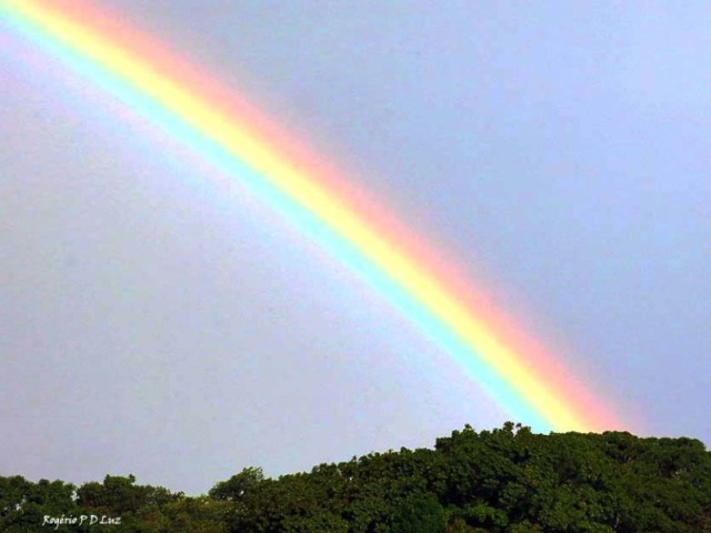 prefiro as cores do arco iris!