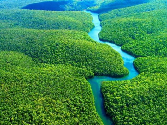 Dentro da floresta amazônica