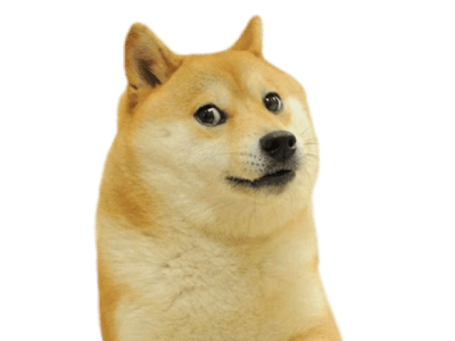 Doge