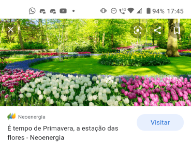 Primavera