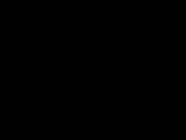 5-Mian , simbam e leo