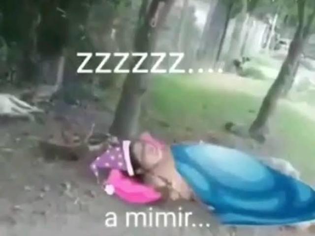 Mimir