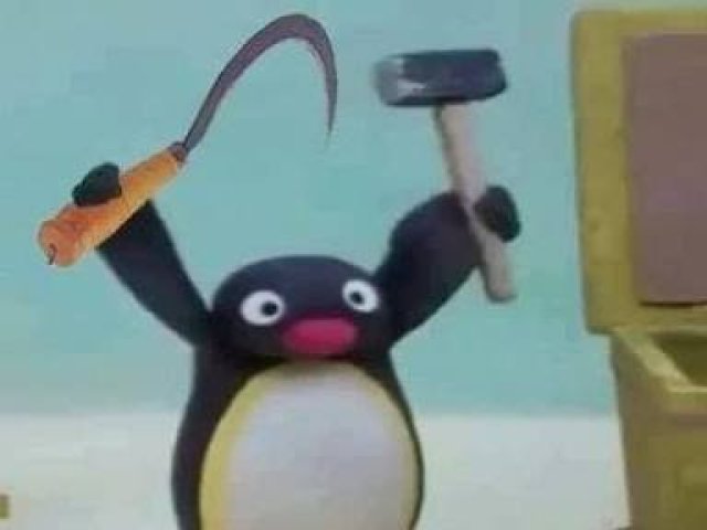 pingu comunsita amoh