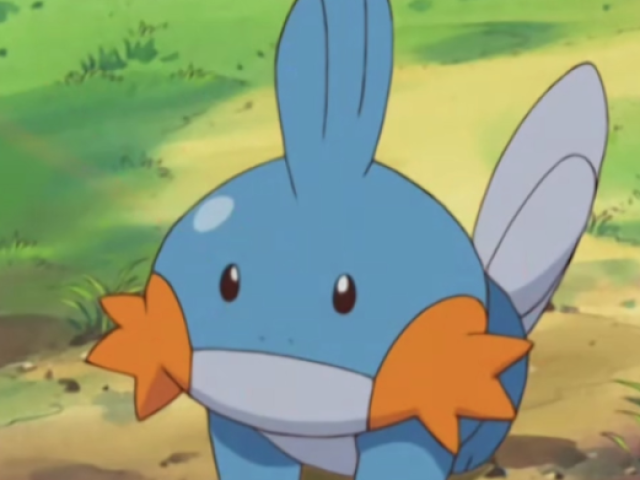 Mudkip