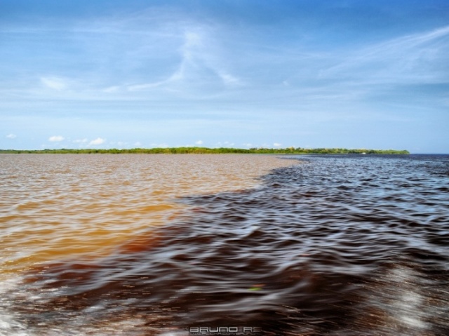 Encontro das Águas, Manaus