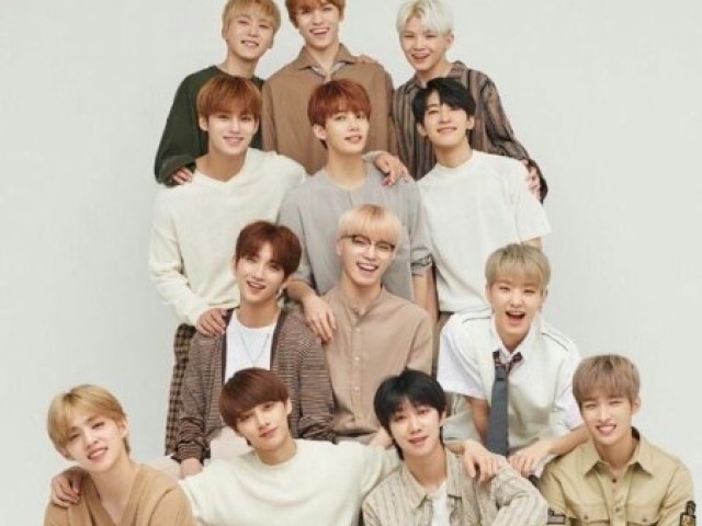 Quem do Seventeen se apaixonaria por você assim que te conhecesse?